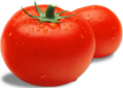tomatoes_trans